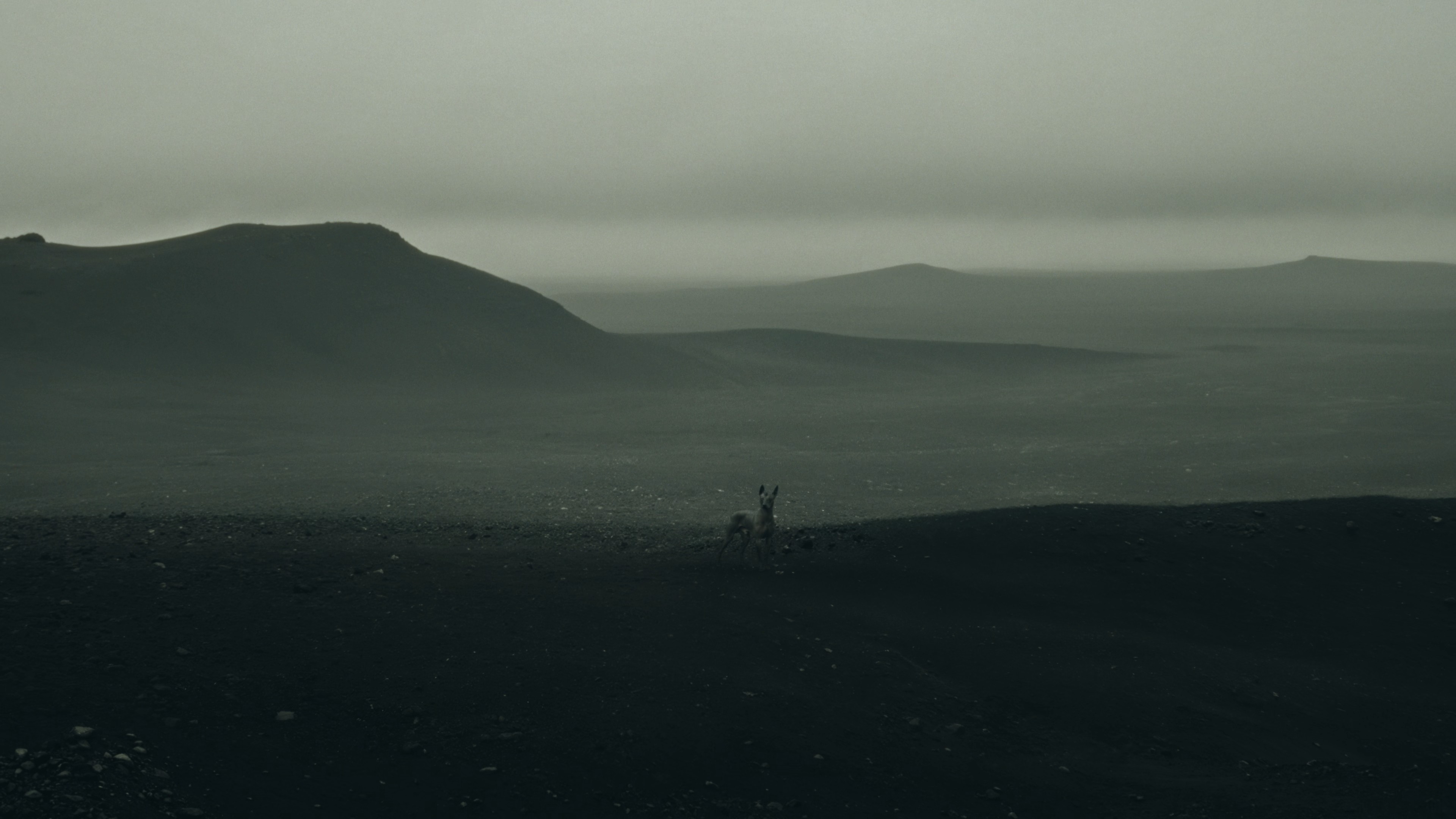 Yuri Roga, project: Sisyphe (fig. 10)