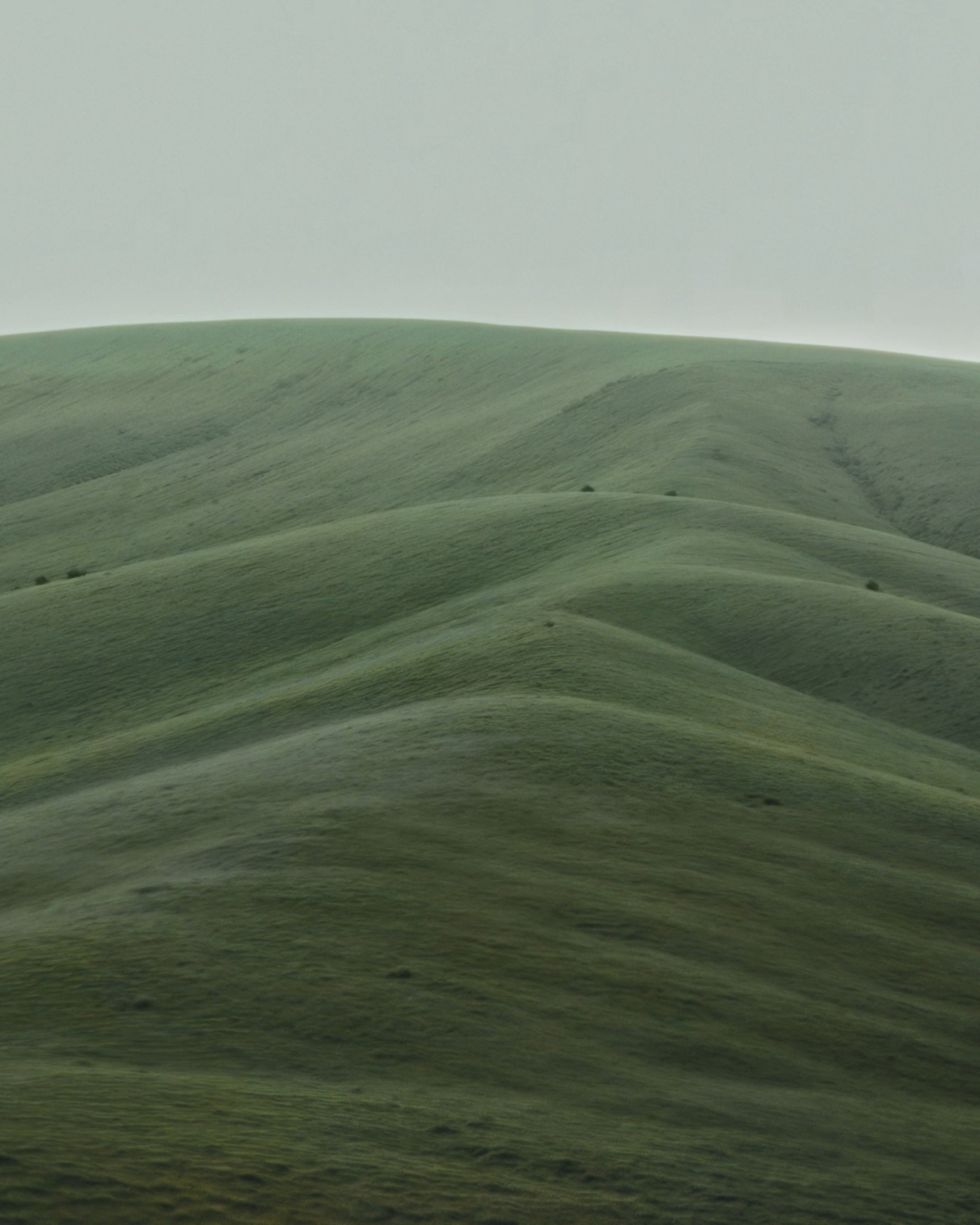 Yuri Roga, project: Sisyphe (thumbnail)